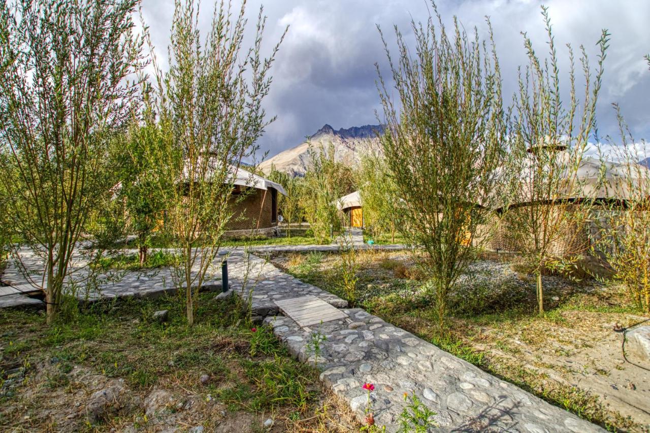 Chalet Seabuckthorn - Hunder Hundar 外观 照片