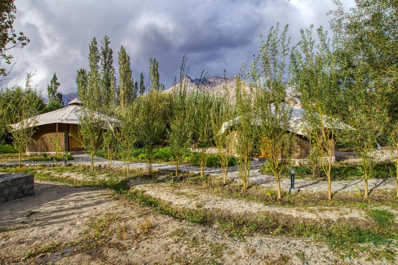 Chalet Seabuckthorn - Hunder Hundar 外观 照片